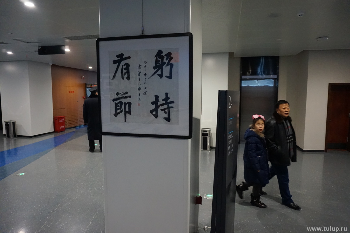 Интерьеры арены. Каллиграфия: «В здоровом теле здоровый дух!»