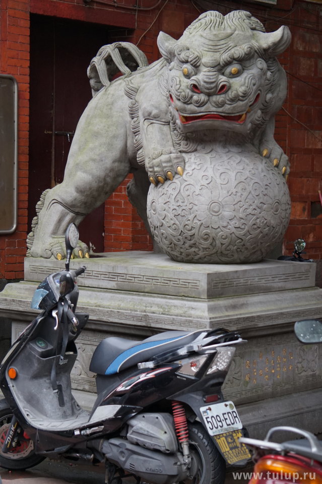 Традиционные львы