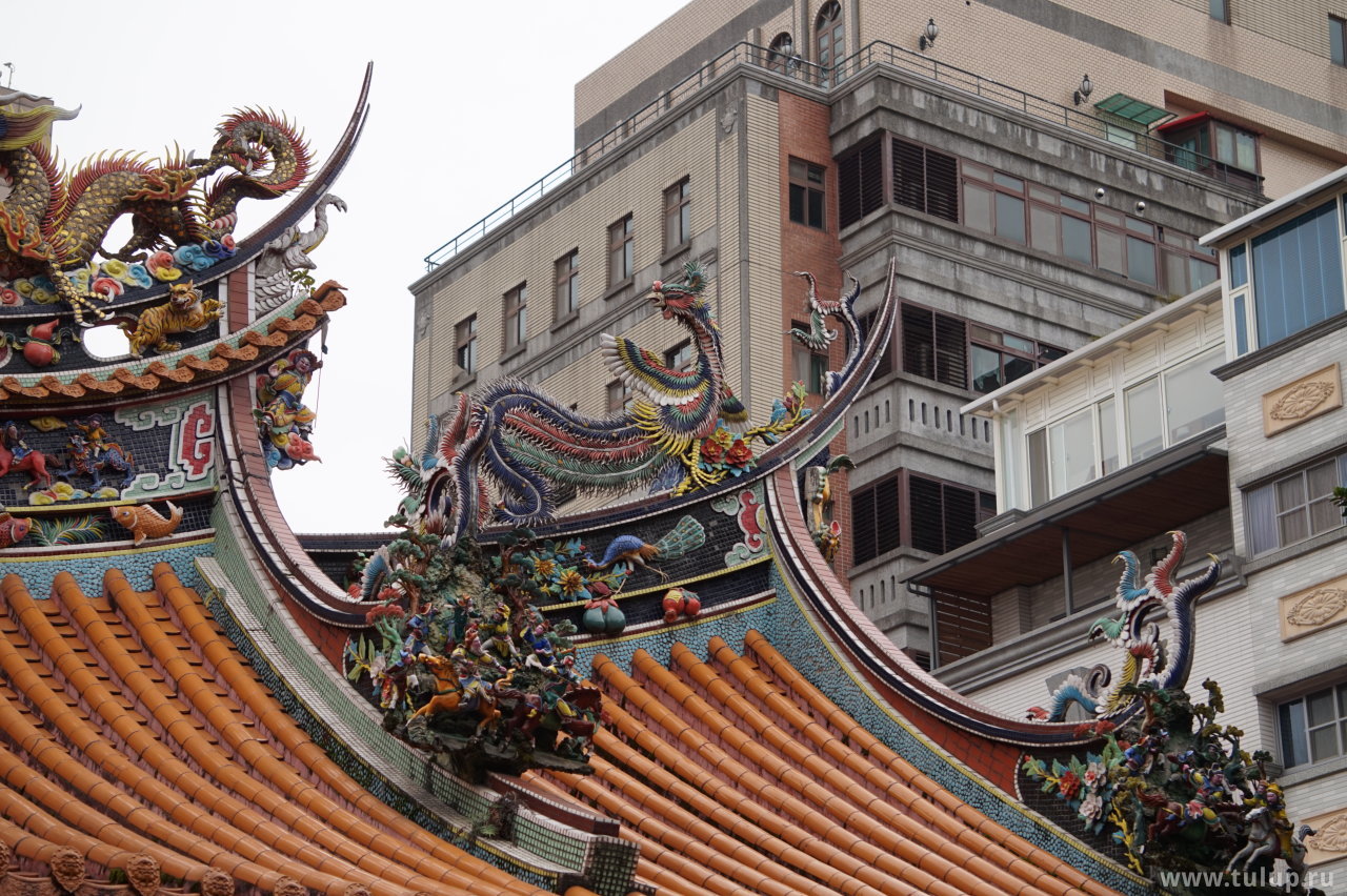 Драконы и фениксы